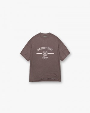 Pánské Tričko Represent Crest Taupe | CZ-RIXYQ0917