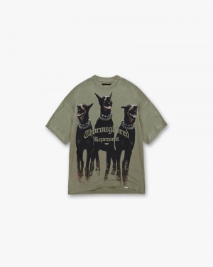 Pánské Tričko Represent Thoroughbred Hnědožlutý | CZ-JSTBQ5328