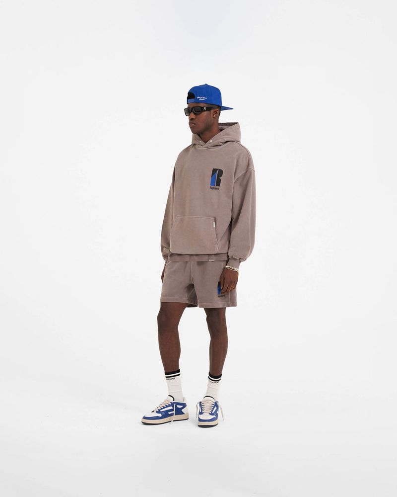 Pánské Mikina s Kapucí Represent Decade Of Speed Taupe | CZ-HDQOL4256