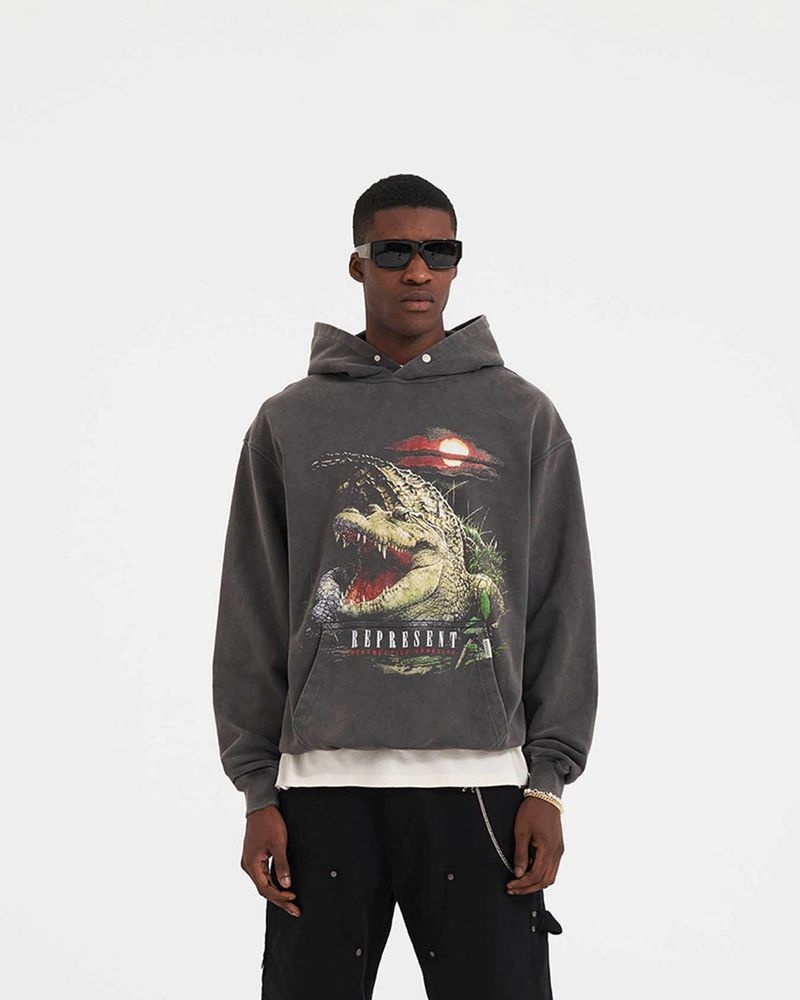 Pánské Mikina s Kapucí Represent Destructive Appetite Šedé | CZ-NQFIK4729