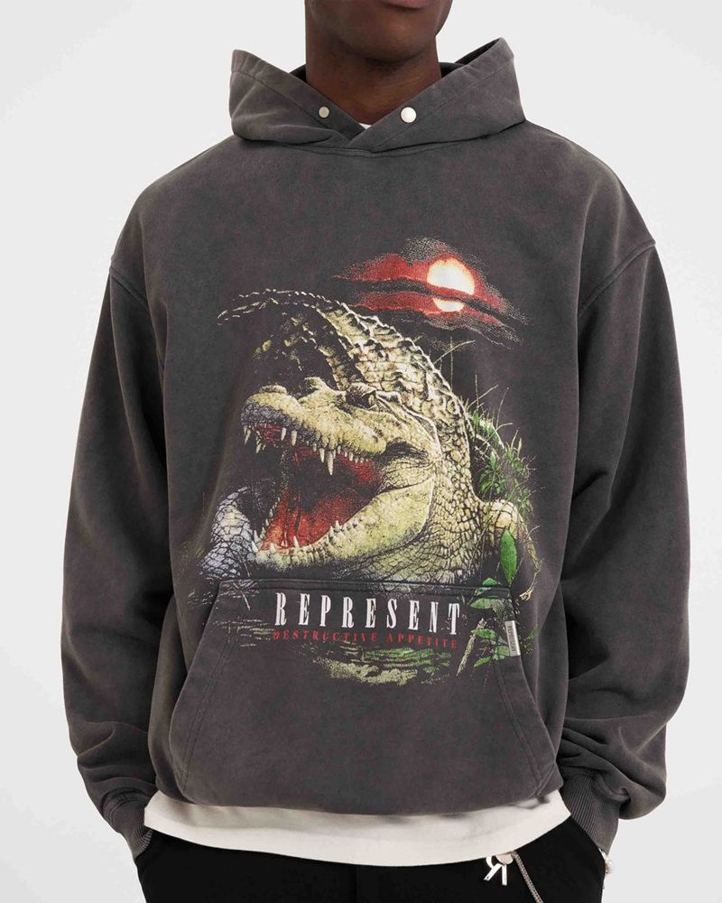 Pánské Mikina s Kapucí Represent Destructive Appetite Šedé | CZ-NQFIK4729