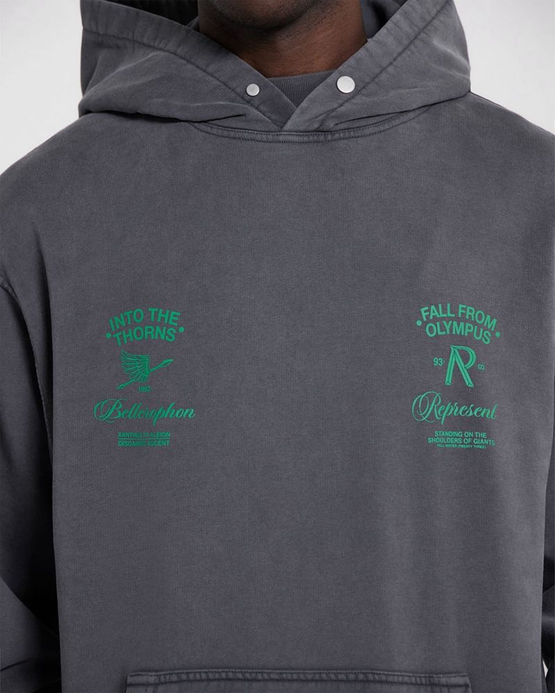 Pánské Mikina s Kapucí Represent Fall From Olympus Tmavě Šedé Zelene | CZ-BXPLA6517