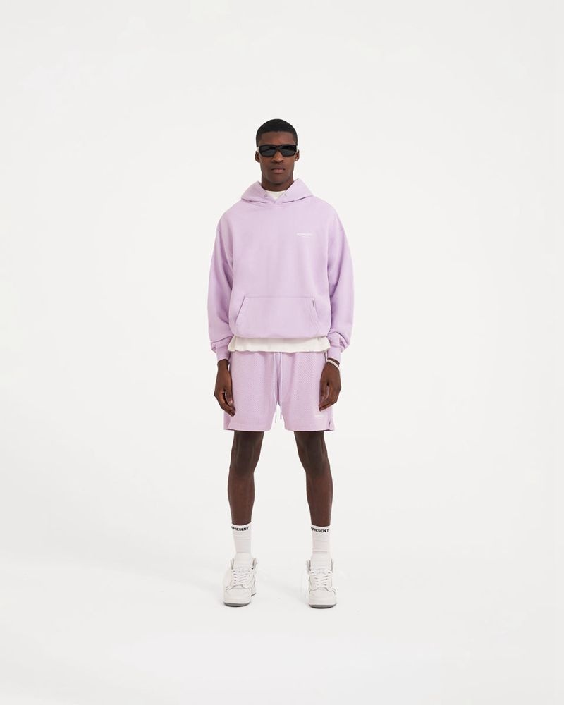 Pánské Mikina s Kapucí Represent Owners Club Lilac | CZ-EHUYV5982