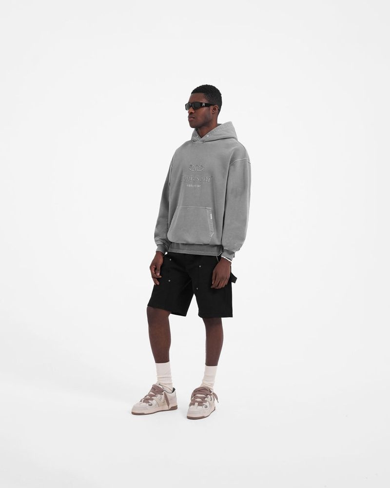 Pánské Mikina s Kapucí Represent Worldwide Šedé | CZ-GAJXN4165
