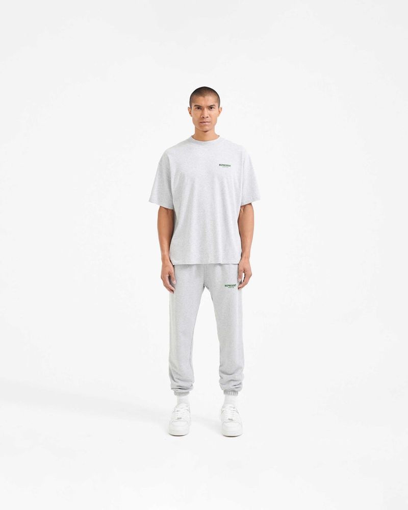 Pánské Teplákové Kalhoty Represent Owners Club Šedé Zelene | CZ-DPZSV1290