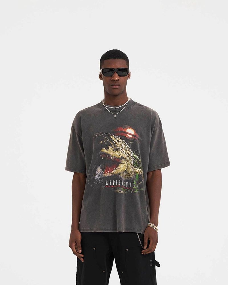 Pánské Tričko Represent Destructive Appetite Šedé | CZ-SLJHI9083