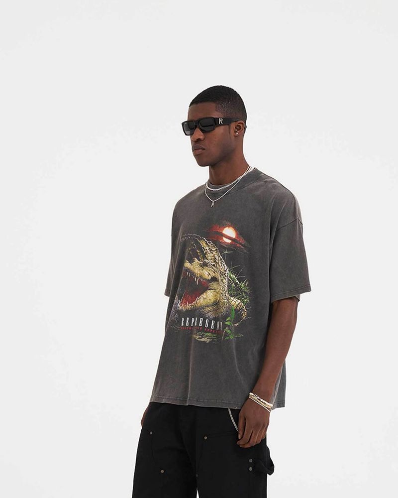 Pánské Tričko Represent Destructive Appetite Šedé | CZ-SLJHI9083