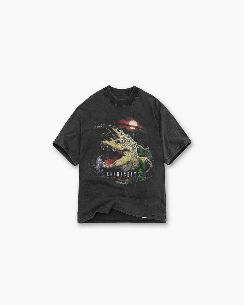 Pánské Tričko Represent Destructive Appetite Šedé | CZ-SLJHI9083