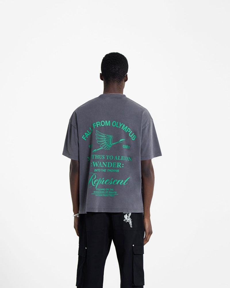 Pánské Tričko Represent Fall From Olympus Tmavě Šedé Zelene | CZ-ZOTXH5018