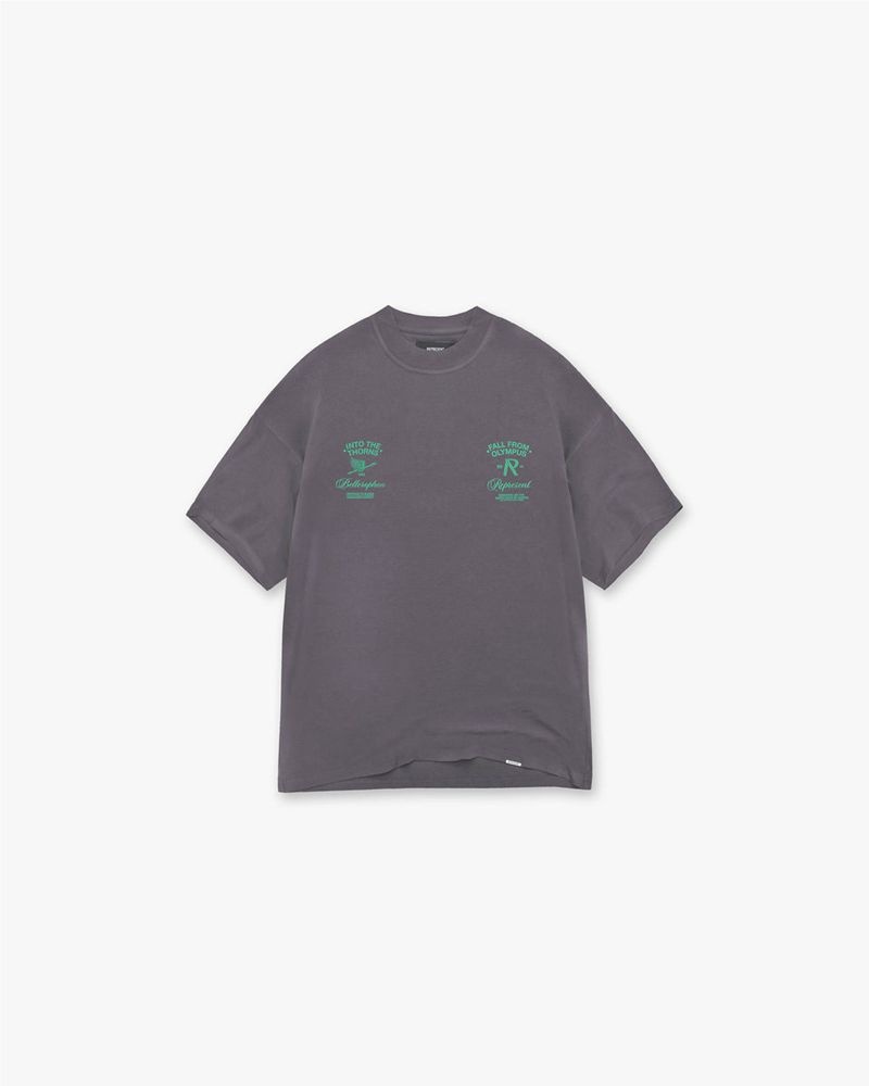 Pánské Tričko Represent Fall From Olympus Tmavě Šedé Zelene | CZ-ZOTXH5018