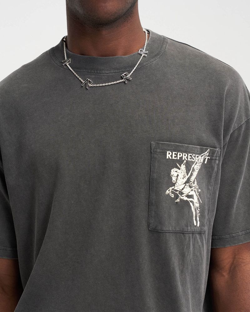 Pánské Tričko Represent Mascot Šedé | CZ-RBYHW4827