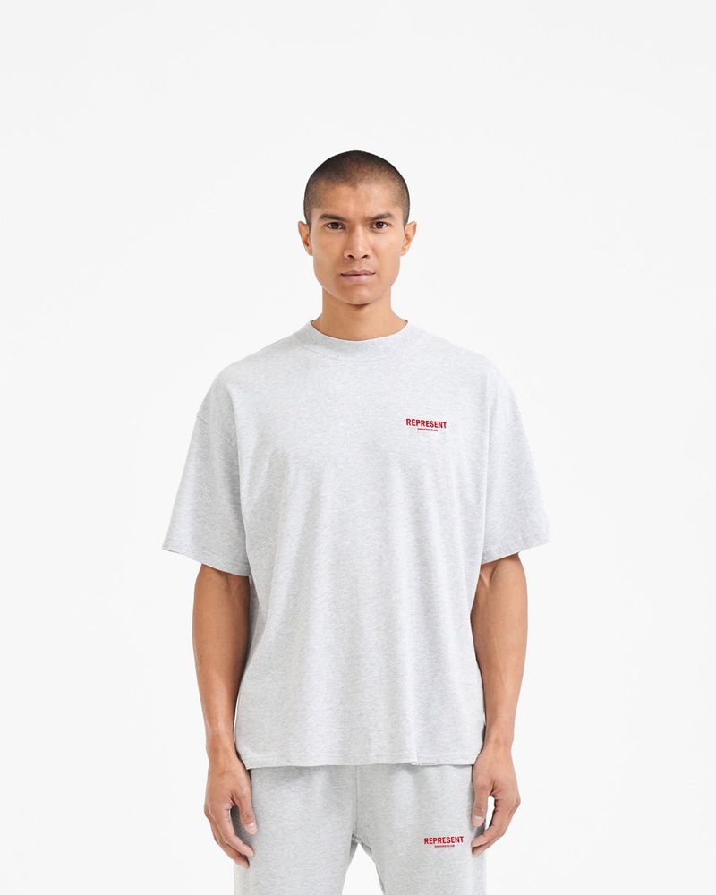 Pánské Tričko Represent Owners Club Šedé Červené | CZ-XZEBR8120