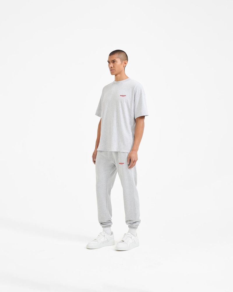 Pánské Tričko Represent Owners Club Šedé Červené | CZ-XZEBR8120