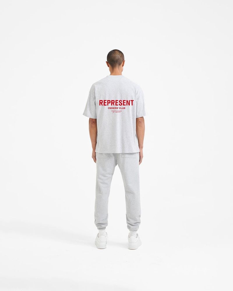 Pánské Tričko Represent Owners Club Šedé Červené | CZ-XZEBR8120