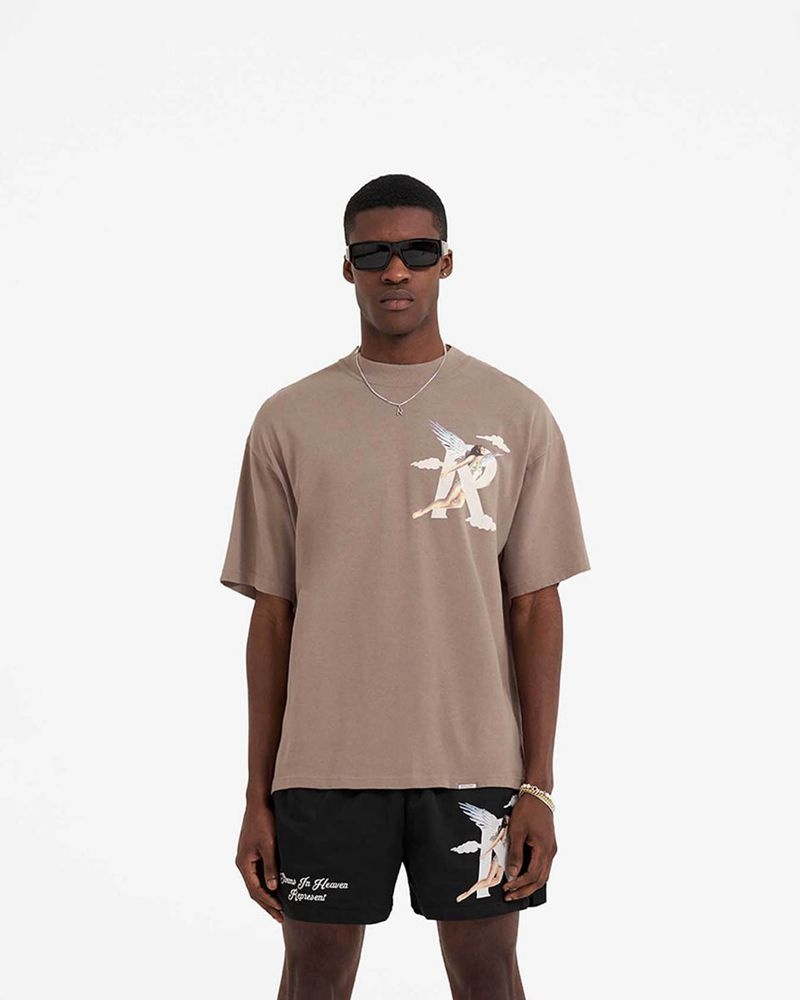 Pánské Tričko Represent Storms In Heaven Taupe | CZ-JQRUW1987