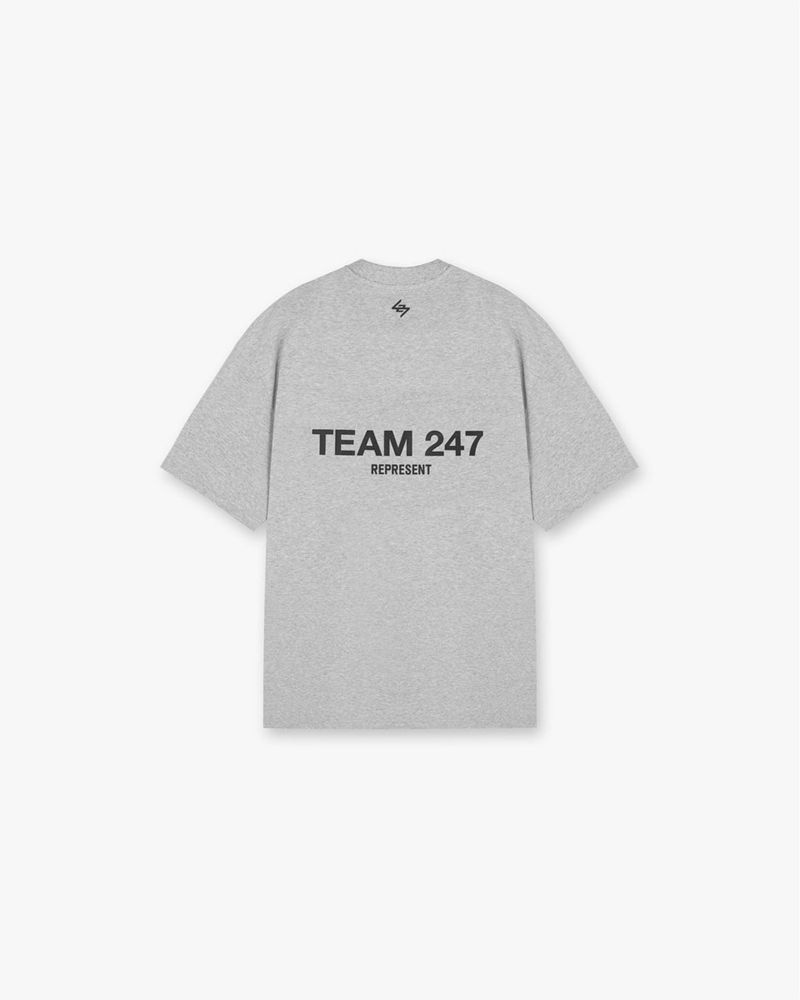 Pánské Tričko Represent Team 247 Oversized Šedé | CZ-POQKF0172