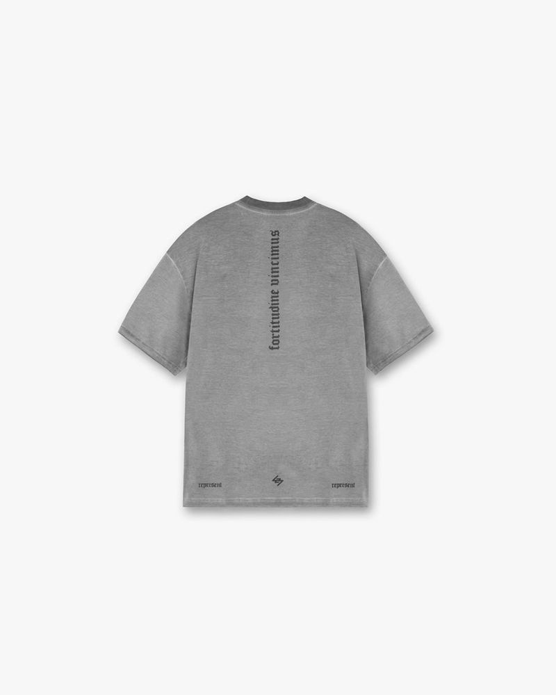 Pánské Tričko Represent Vintage 247 Oversized Šedé | CZ-MJEHT5926